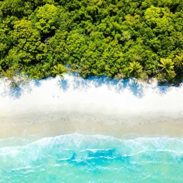 Cape Tribulation in North Queensland, Australia