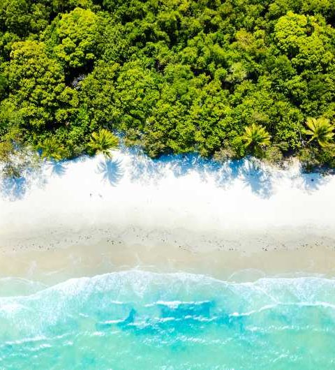 Cape Tribulation in North Queensland, Australia