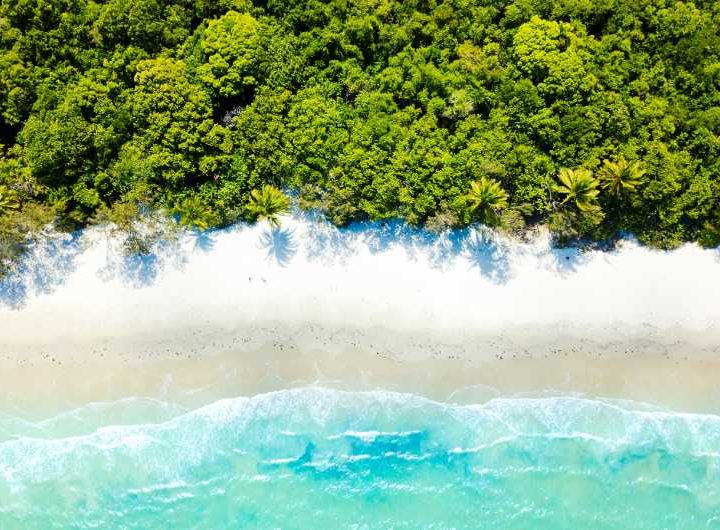 Cape Tribulation in North Queensland, Australia