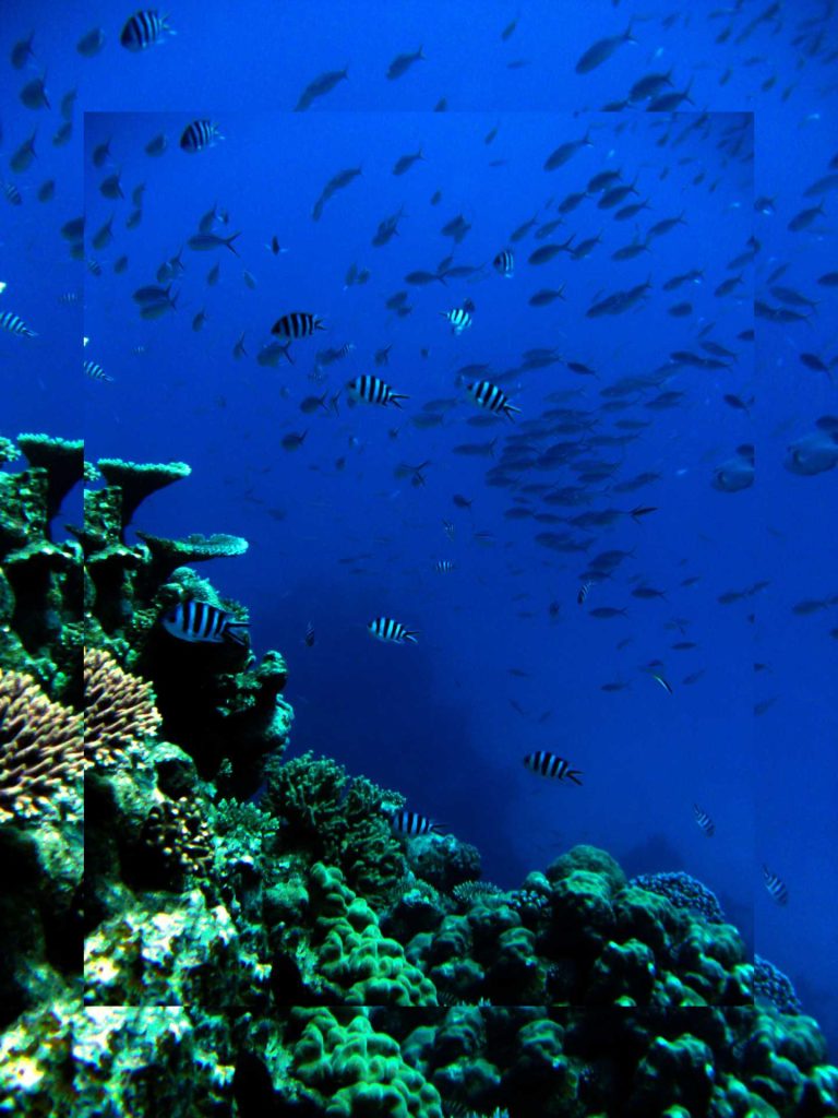 Great Barrier Reef