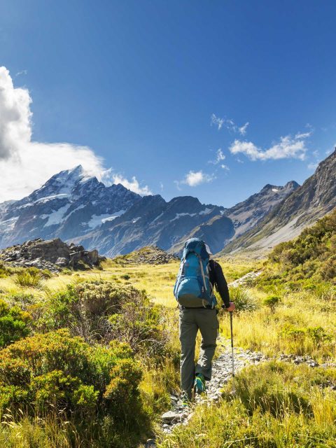New Zealand Hike