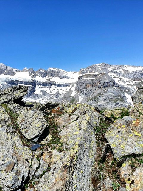 Swiss Alps 5