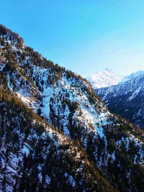 Swiss Alps 6