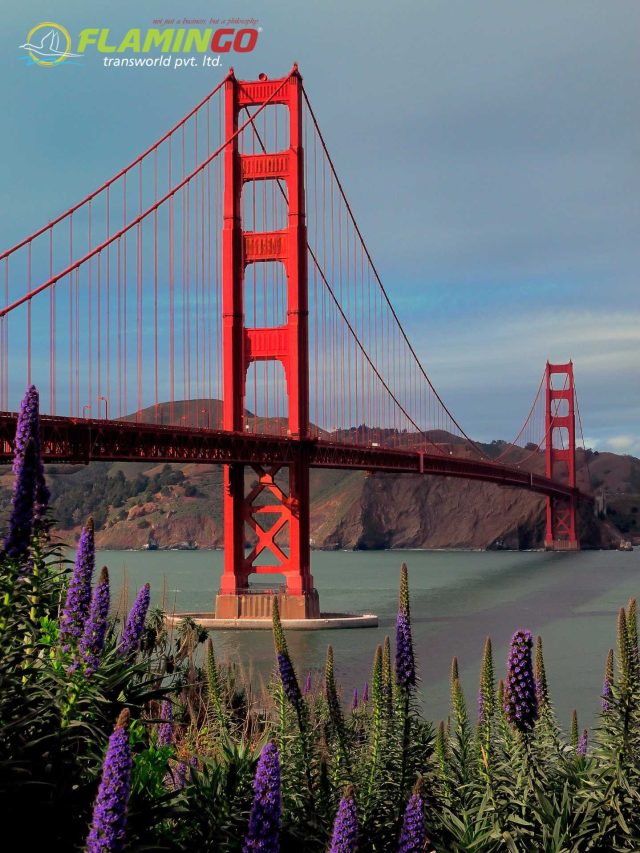 5 Reasons to Choose Flamingo Transworld for Your USA Tour from Ahmedabad!