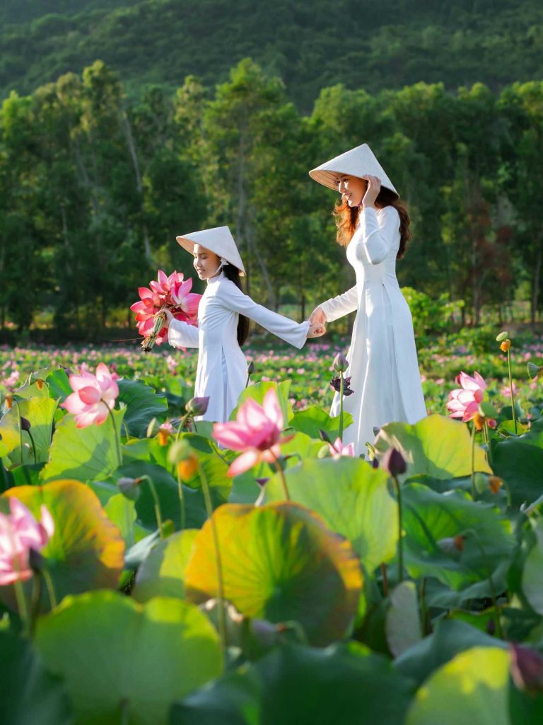 Vietnamese Women in Lotus Field at Hoi An