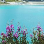 WTP-switzerland-Banner